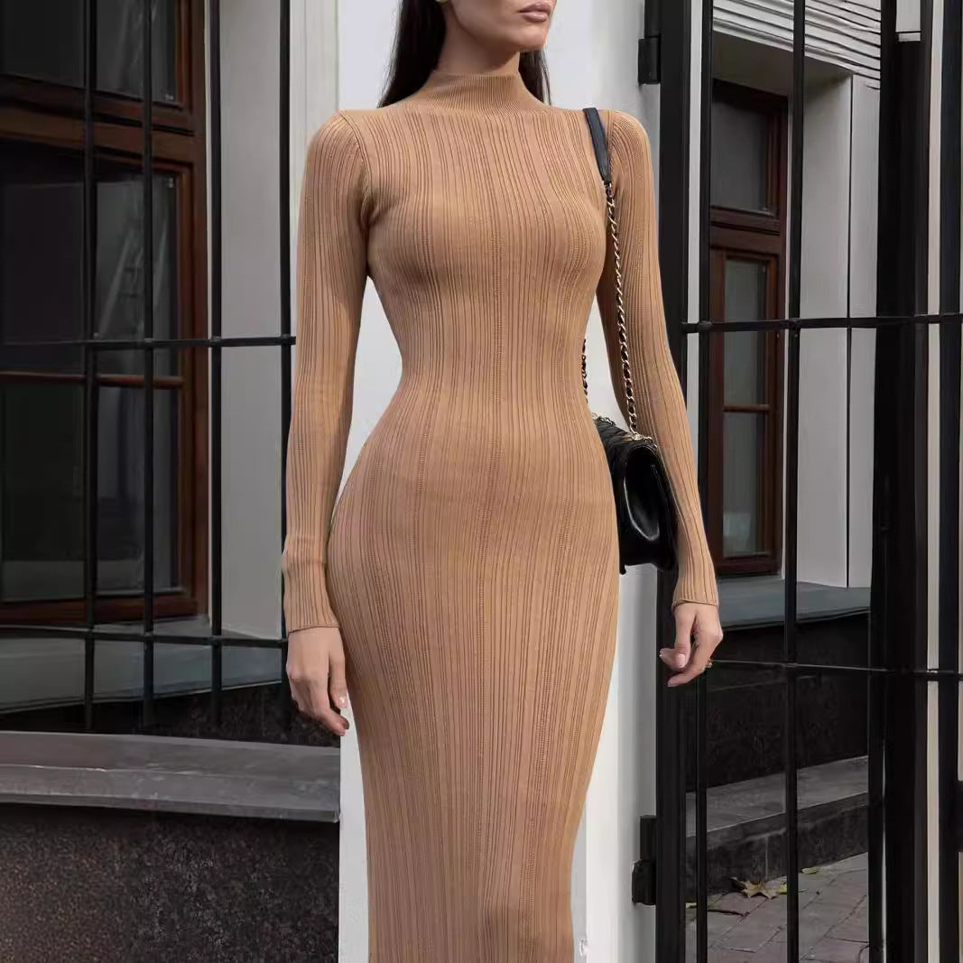 Sophisticate Knitted Turtleneck dress