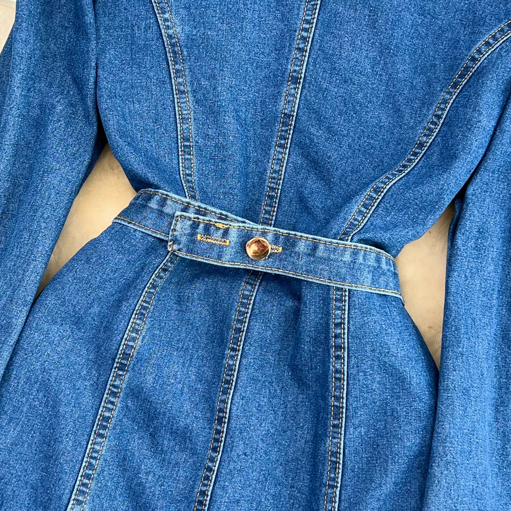 Willow Denim Dress