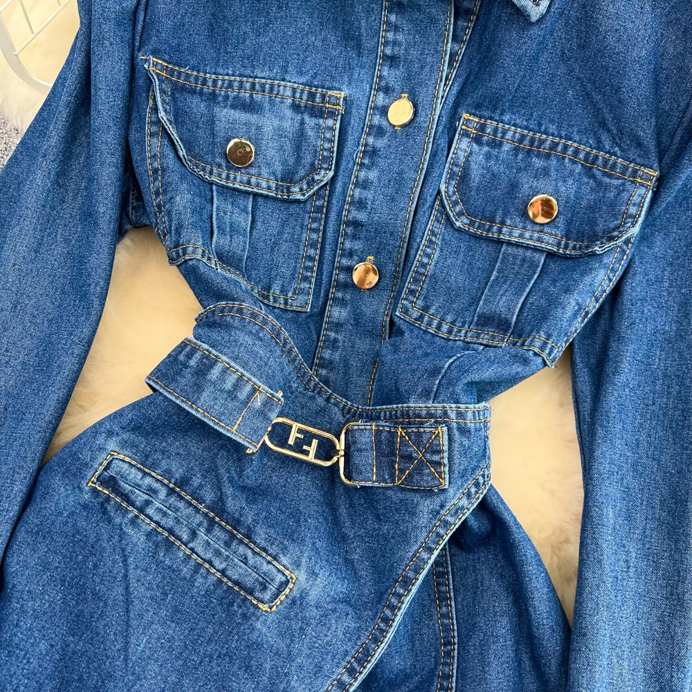 Willow Denim Dress