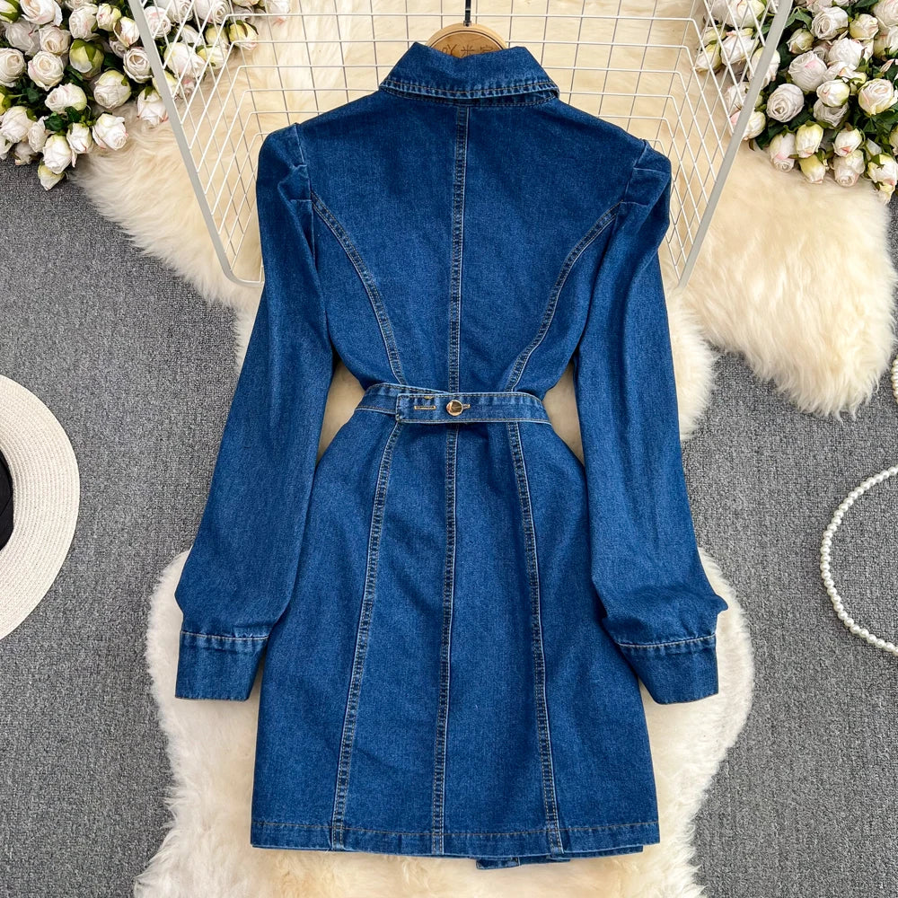 Willow Denim Dress