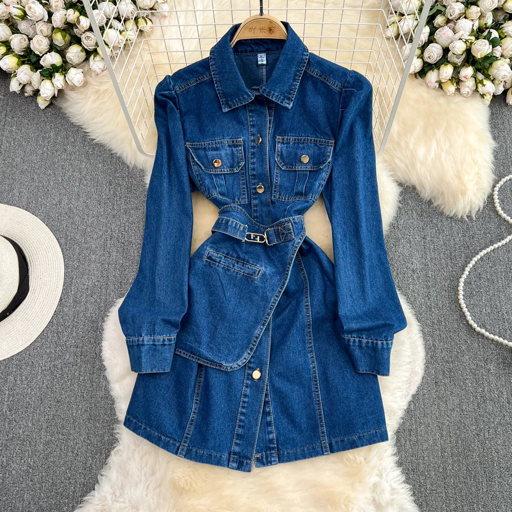 Willow Denim Dress