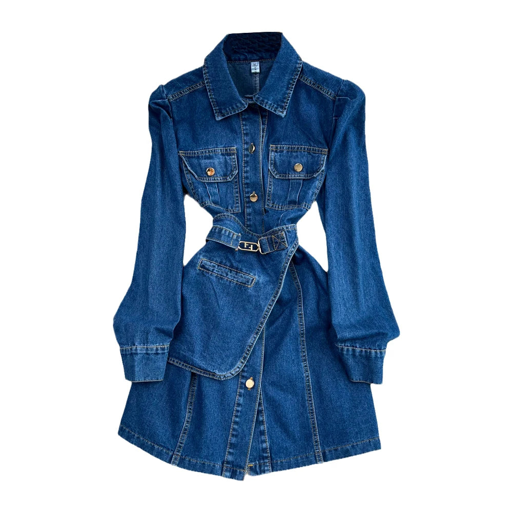 Willow Denim Dress